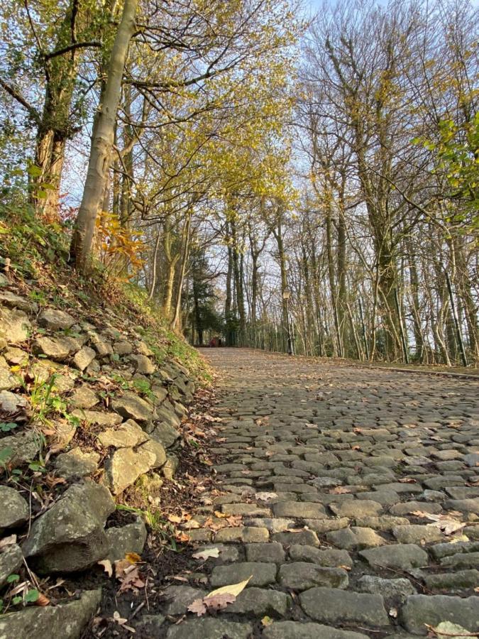 Vakantiewoning De Kassei Geraardsbergen Max 12Personen ภายนอก รูปภาพ